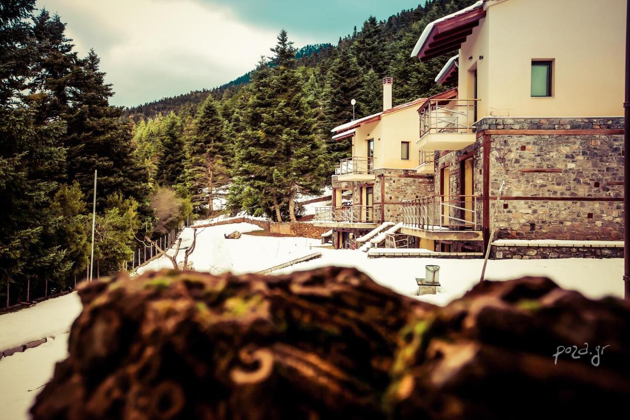 Natura Hotel فيتينا المظهر الخارجي الصورة