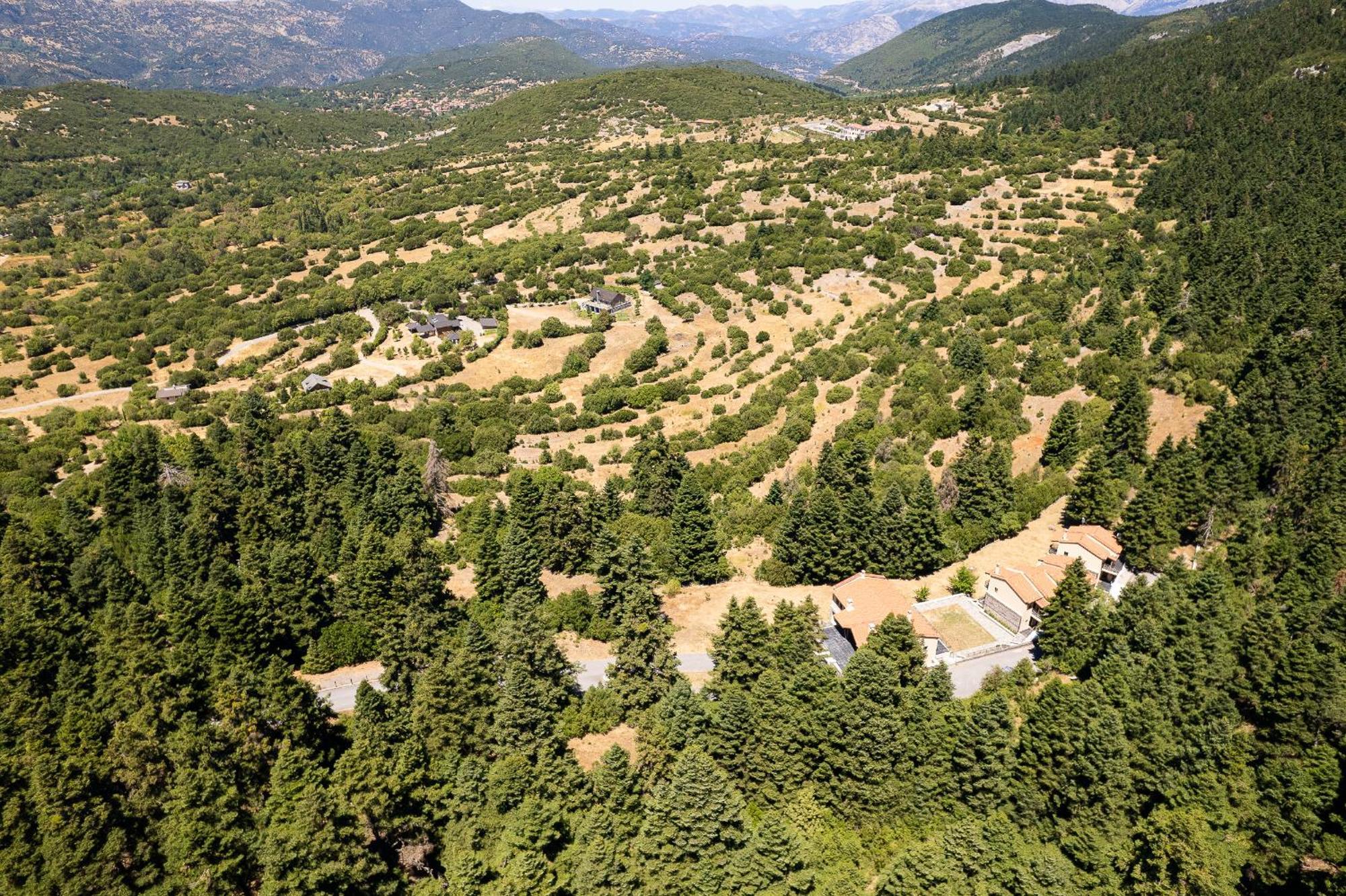 Natura Hotel فيتينا المظهر الخارجي الصورة